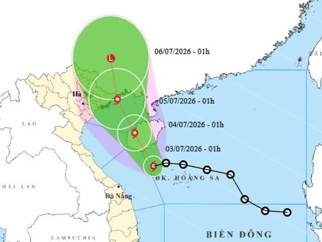 Chủ động phòng, chống bão và đẩy nhanh tiến độ sản xuất vụ mùa năm 2026