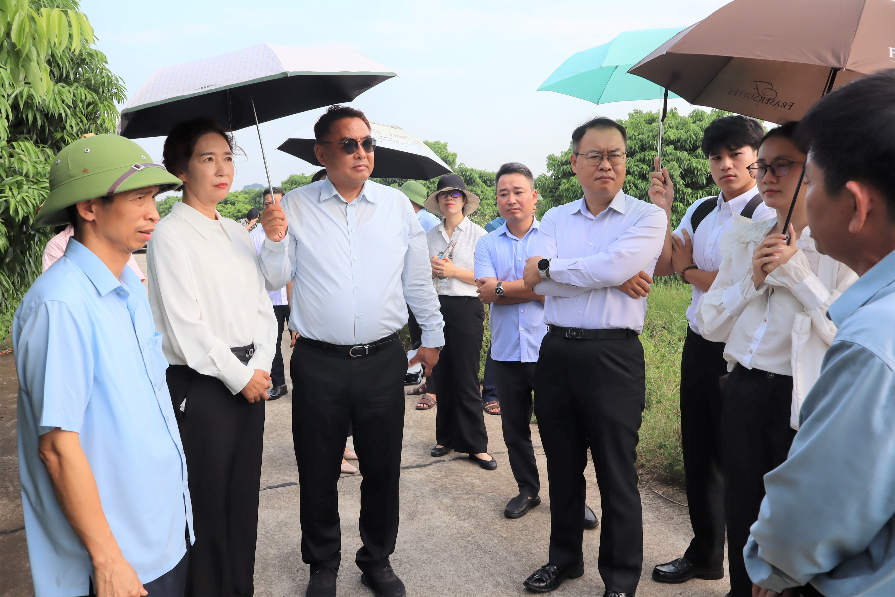 Đoàn công tác Hàn Quốc khảo sát vùng trồng vải tại xã Tống Trân, tìm hiểu cơ hội hợp tác đầu tư
