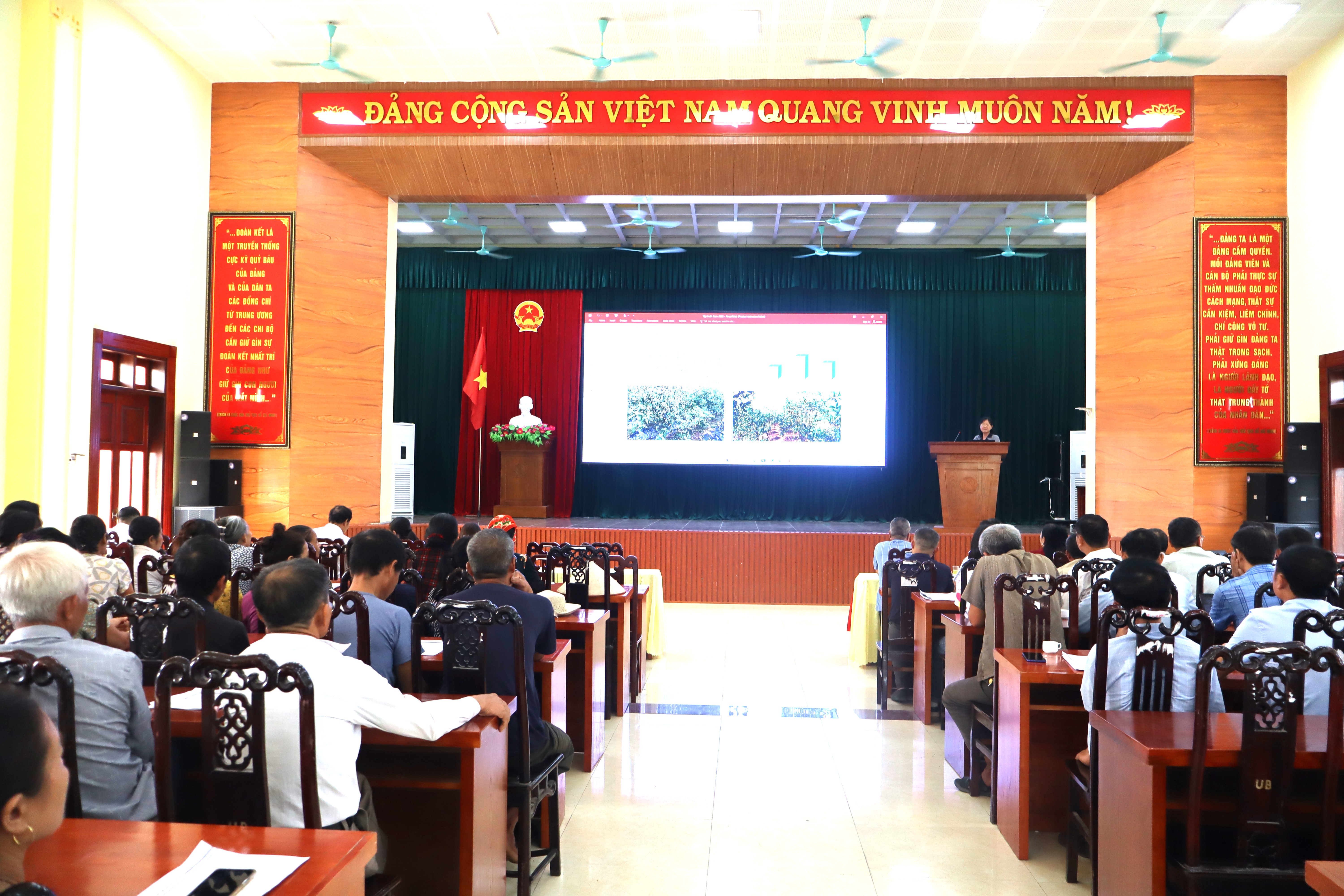 Hội nghị triển khai mô hình quản lý bệnh vàng lá, thối rễ trên cây có múi tại xã Tống Trân